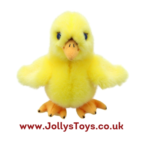 Wilberry Chick Soft Toy